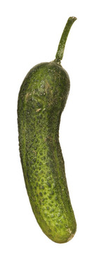 黃瓜