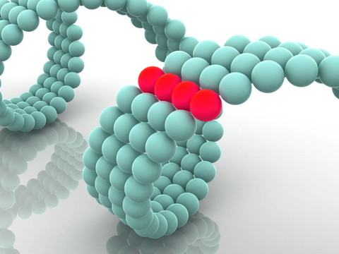 基因在DNA