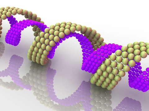基因在DNA