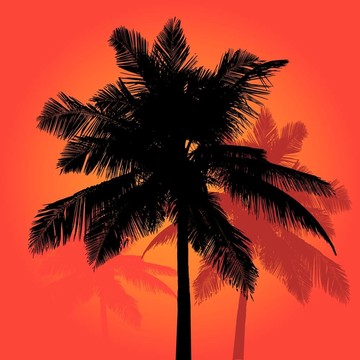 棕櫚樹夕陽剪影三重奏