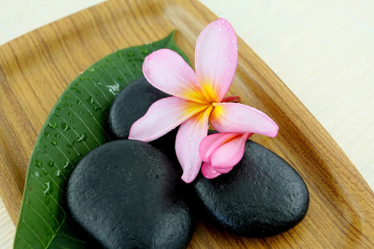 SPA的概念