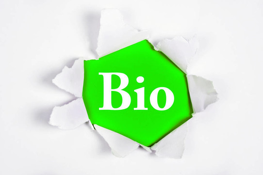 生物在紙
