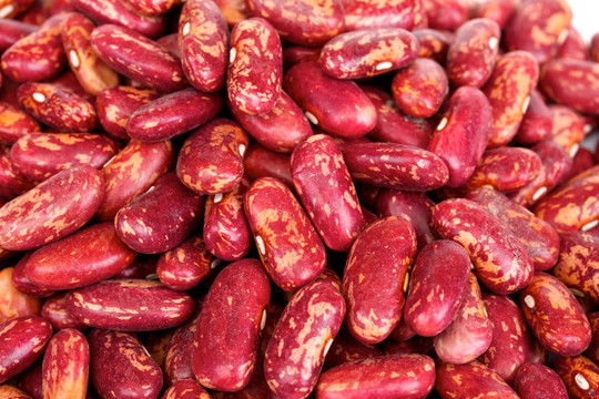 白色背景上的干豆