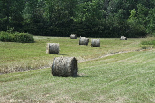 Hay Bales（圓）
