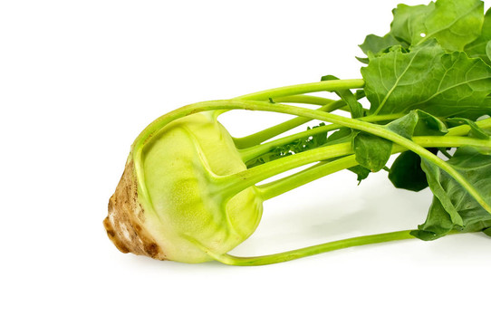 大頭菜