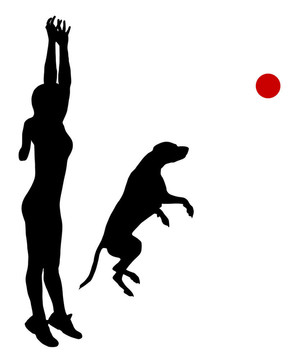 犬訓(xùn)練用球