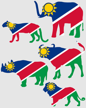 五大納米比亞