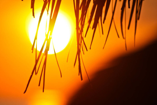 夕陽(yáng)紅
