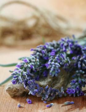 薰衣草花束。