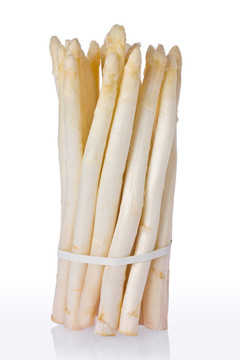 White Asparagus（蘆筍）