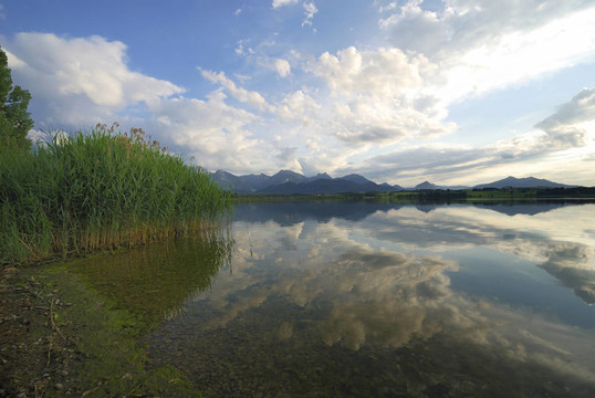 湖阿爾卑斯山