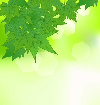 綠葉背景