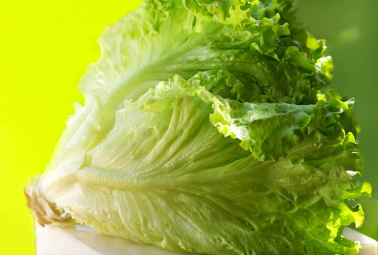 綠生菜的質(zhì)地