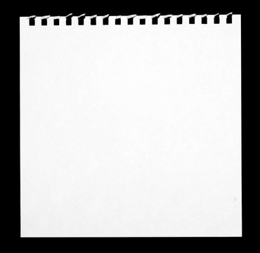 白皮書