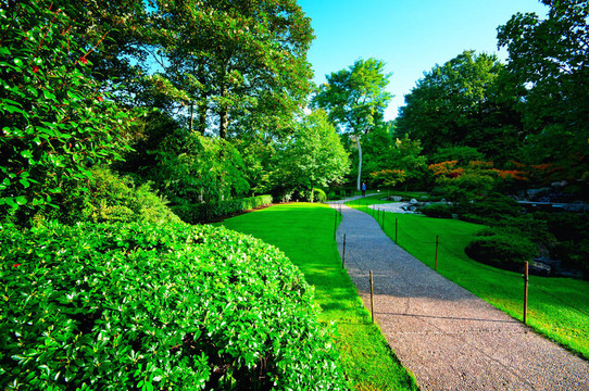 荷蘭公園；京都公園；倫敦。