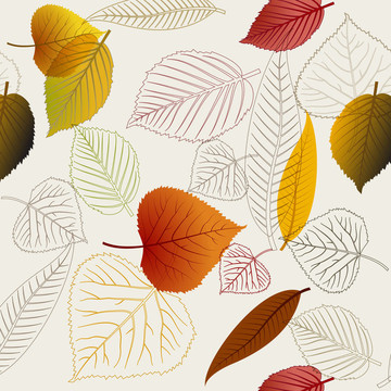 秋天的叶子纹理