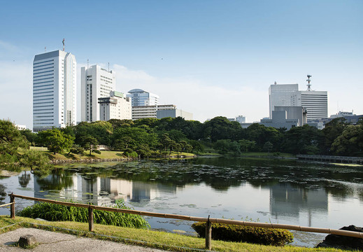 城市公園與日本東京的天際線