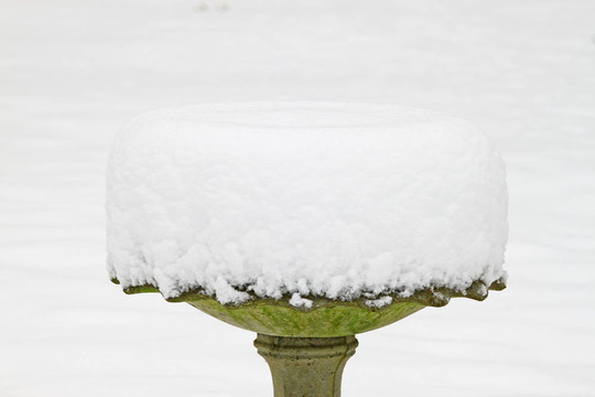 一個(gè)新的寒冷的冰雪覆蓋的水盆外面的雪暴風(fēng)雪席卷著你的文字后的房間