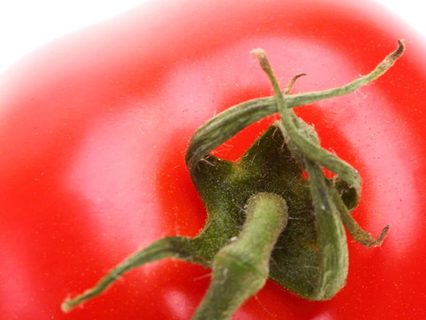 番茄