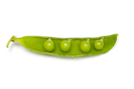 豌豆莢