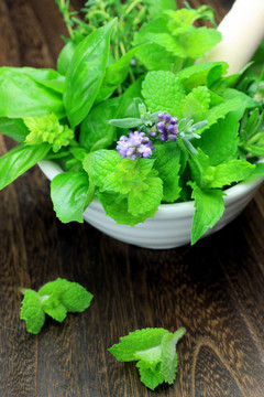 草本植物