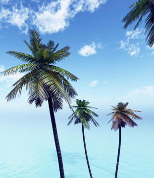 美麗的海景