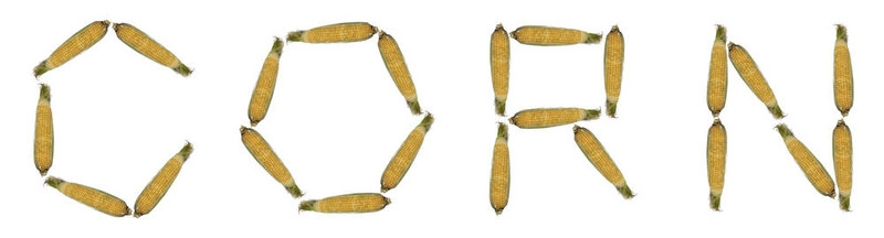 玉米；字母