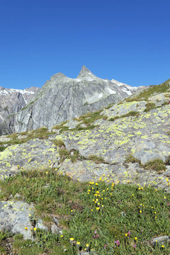 意大利阿爾卑斯山夏季景觀