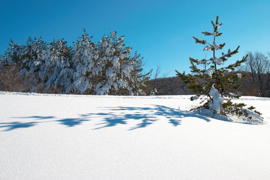冬天；大雪和腳印。