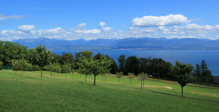 日內(nèi)瓦湖景觀Vaud canton觀；瑞士