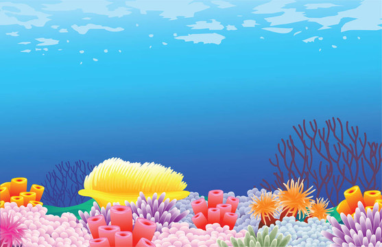 美麗的海洋生物背景
