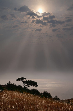 俄羅斯；濱海邊疆區(qū)；日落場景
