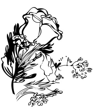 玫瑰花束