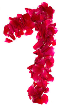 粉紅玫瑰花瓣形成數(shù)1