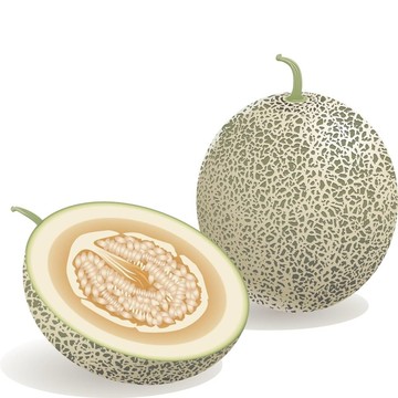 甜瓜果實(shí)