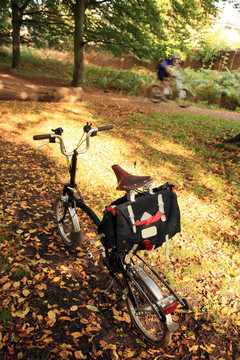 公園里的自行車