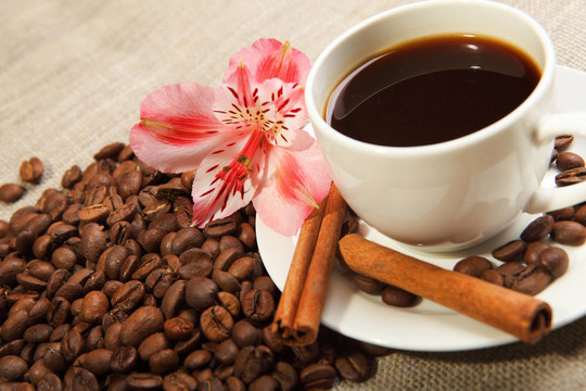 一杯有肉桂的咖啡杯