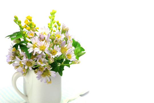 金盞花和常春藤