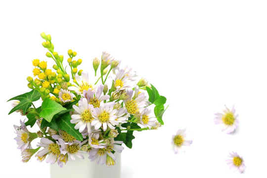 金盞花和常春藤