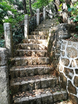 階梯
