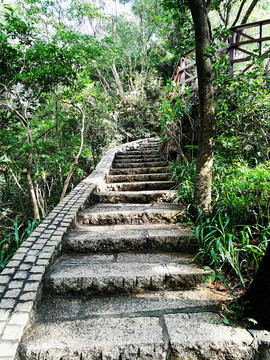 筆架山公園登山道