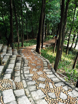 筆架山石階梯