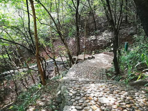 登山步行道