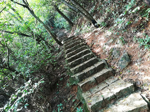 筆架山森林公園