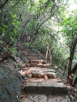 筆架山公園登山道