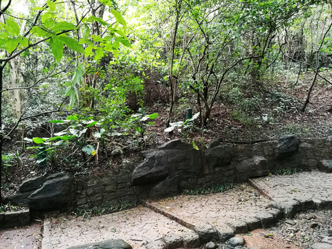 筆架山公園山路