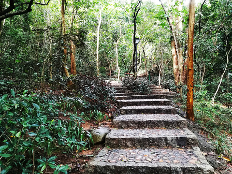 筆架山公園登山小徑