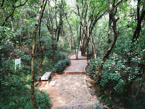 筆架山公園風(fēng)景區(qū)