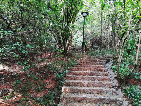 森林公園
