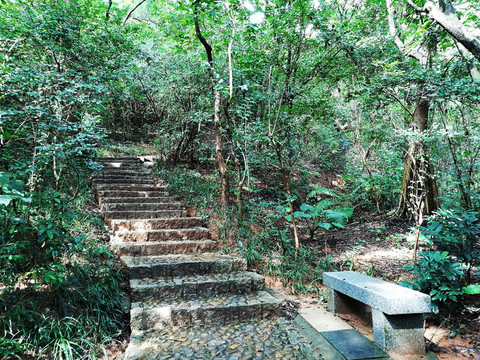 筆架山公園小道